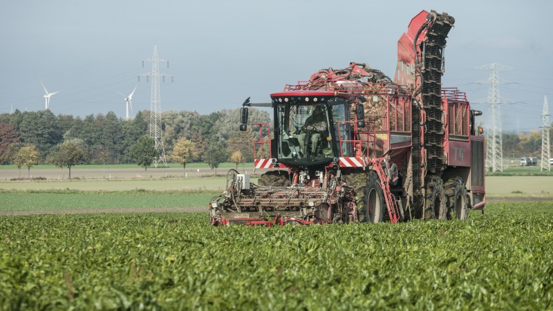 The growers are busy harvesting sugar beets. @Nordzucker