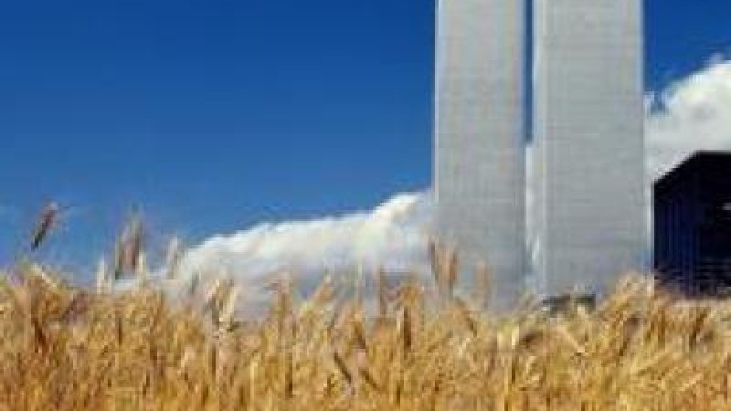 Wheat field in Manhattan