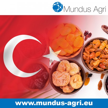 Dried fruit and Blue poppy seeds: “Turkey’s economical situation is very sensitive” – Mundus Agri