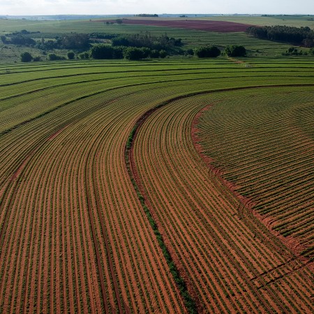 How is the Argentinian market shifting?