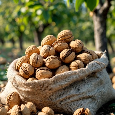 Walnuts: promising new season - Mundus Agri
