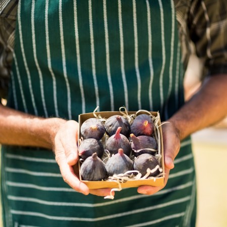 Dried figs: temperature fluctuations remain a critical issue