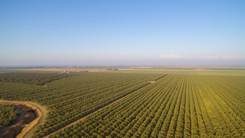 There is a high record potential for the 2018 crop in California.