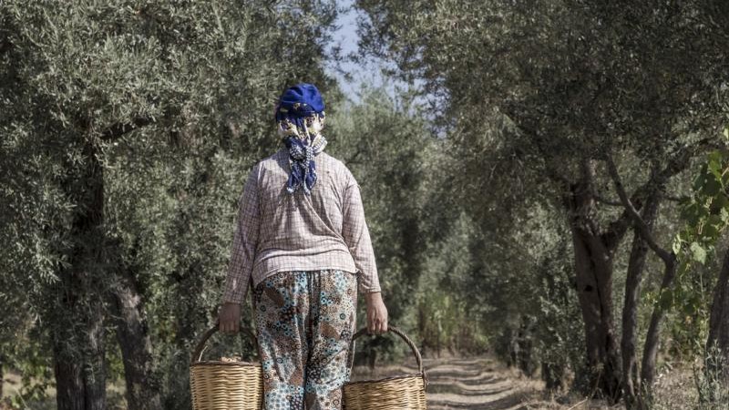 Supplies of dried figs are highly limited in Turkey.