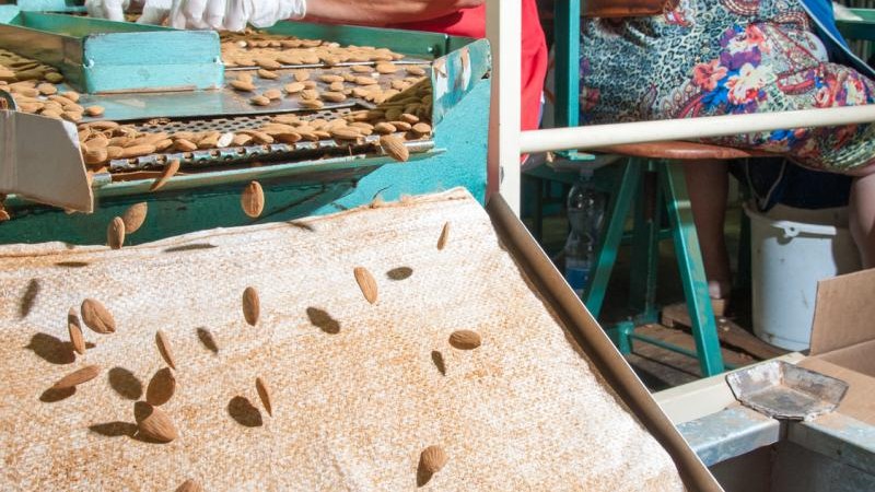 The almond market in Spain is under pressure.
