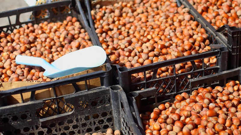 First official hazelnut production estimates for Turkey are expected in 2-4 weeks.
